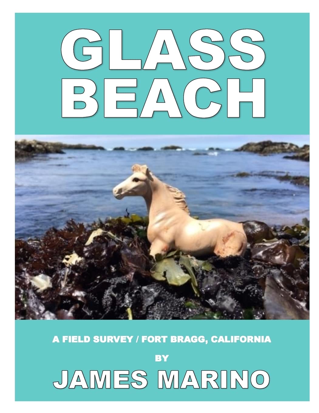 Glass Beach: A Field Survey / Fort Bragg, California,Used