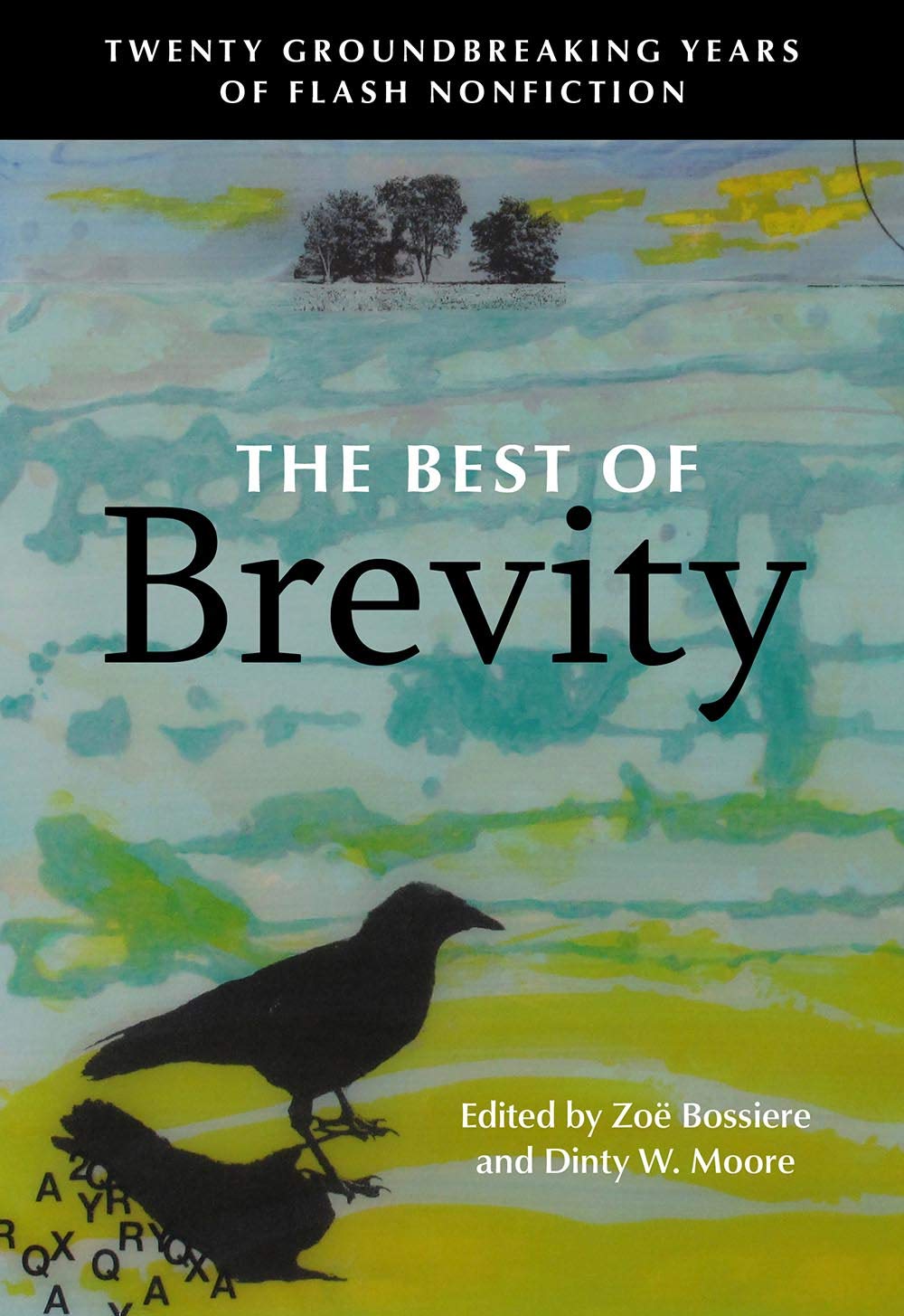 The Best of Brevity: Twenty Groundbreaking Years of Flash Nonfiction,Used