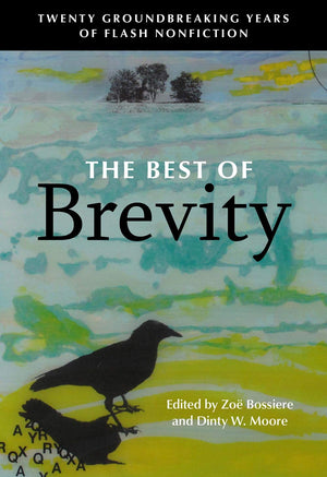 The Best of Brevity: Twenty Groundbreaking Years of Flash Nonfiction,Used