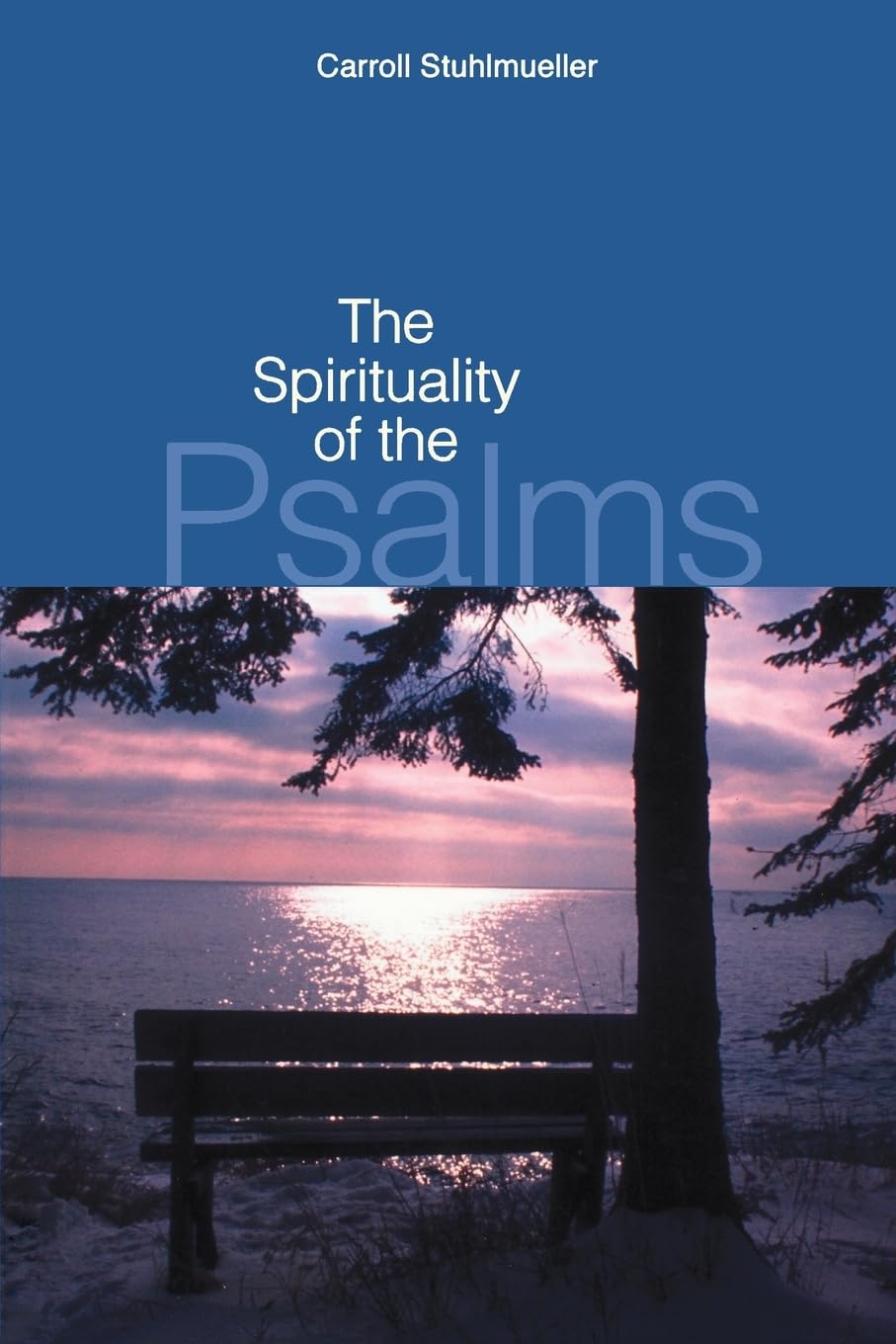 The Spirituality Of The Psalms,New