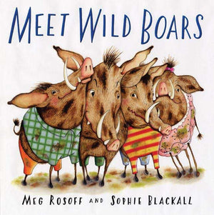 Meet Wild Boars,Used