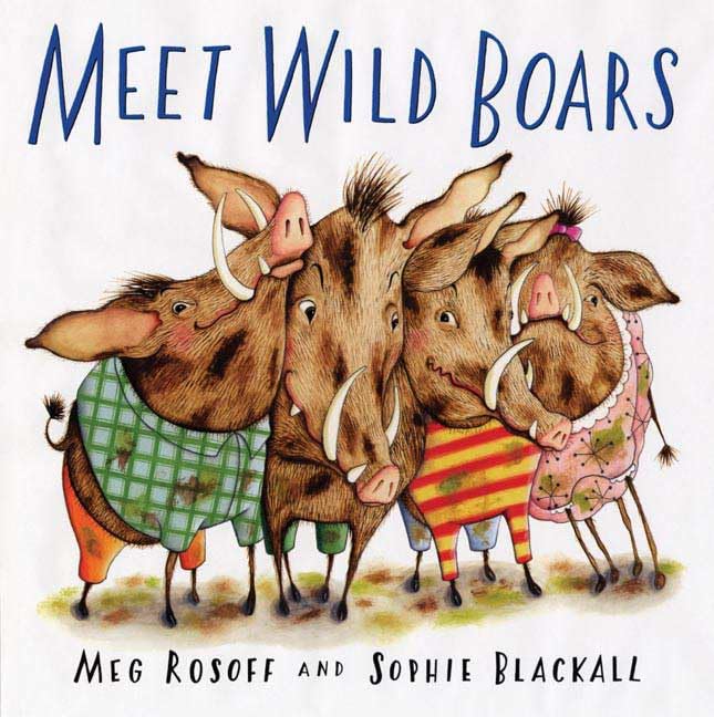 Meet Wild Boars,Used