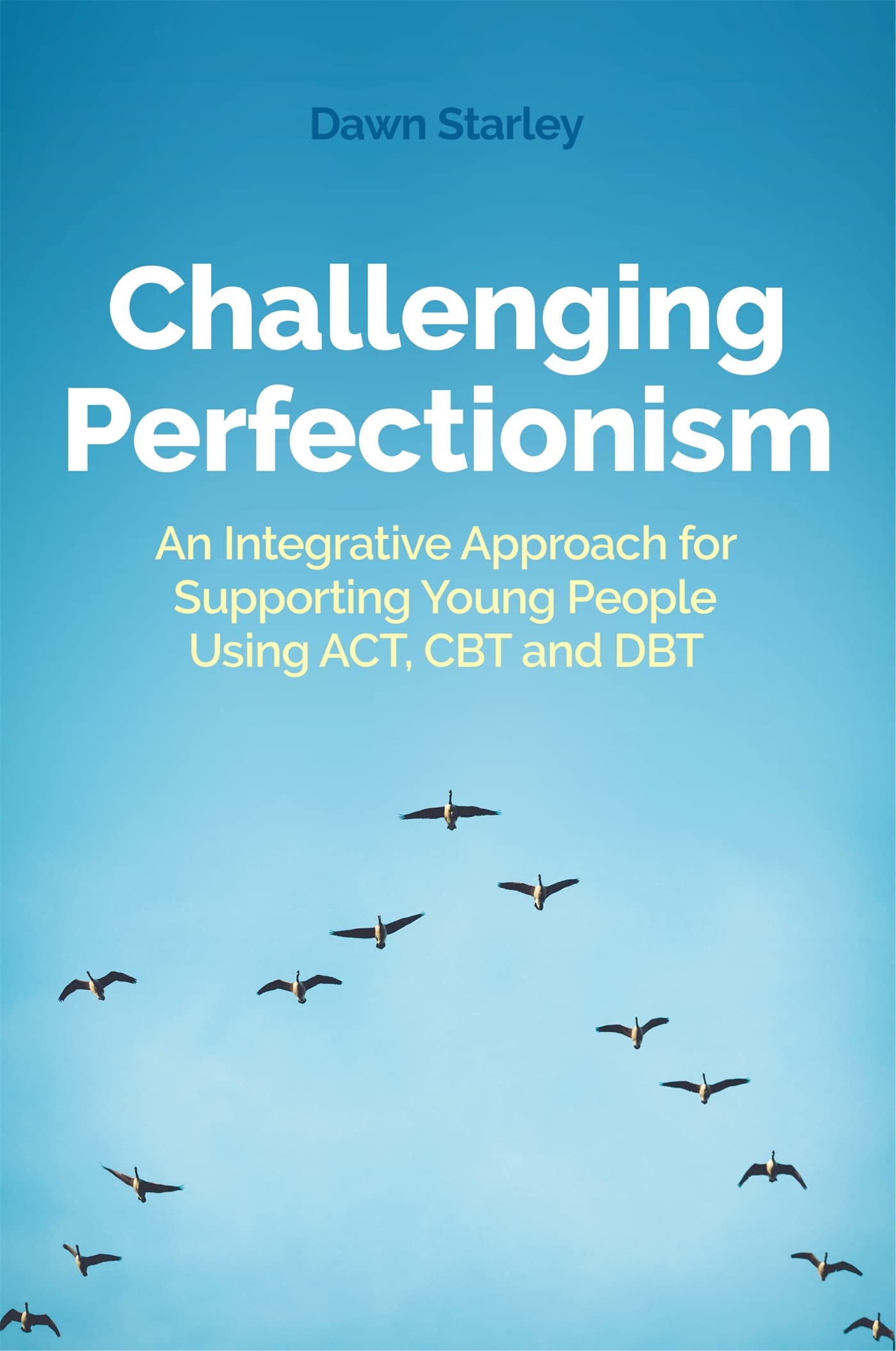 Challenging Perfectionism,Used