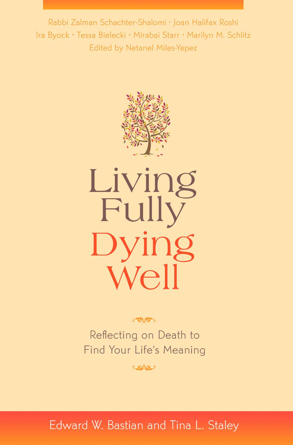 Living Fully, Dying Well: Reflecting on Death to Find Your Life's Meaning,Used