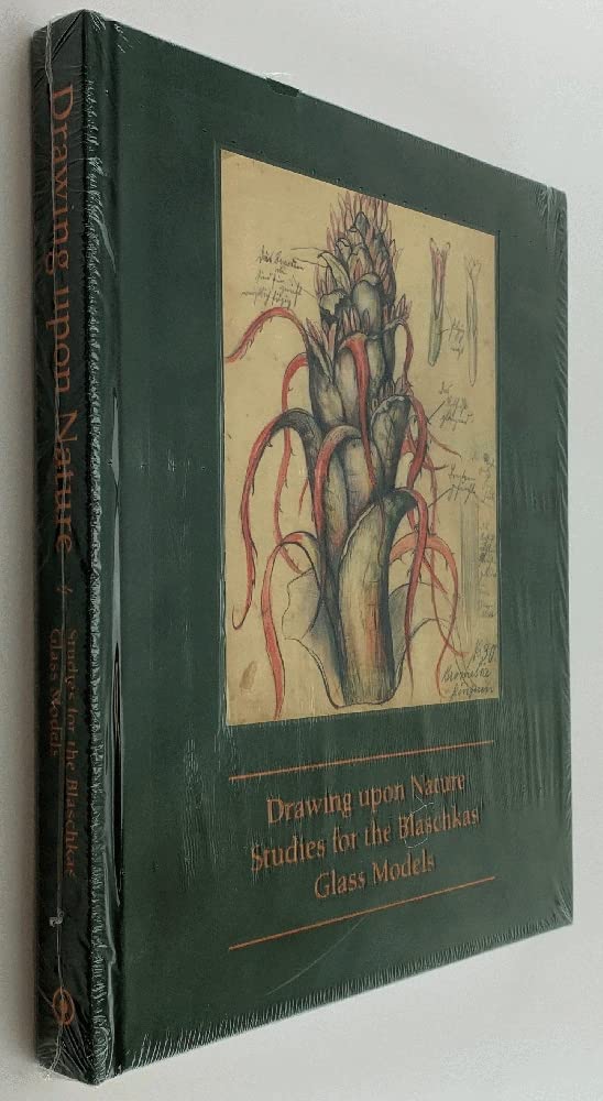 Drawing Upon Nature: Studies For The Blaschkas' Glass Models,New