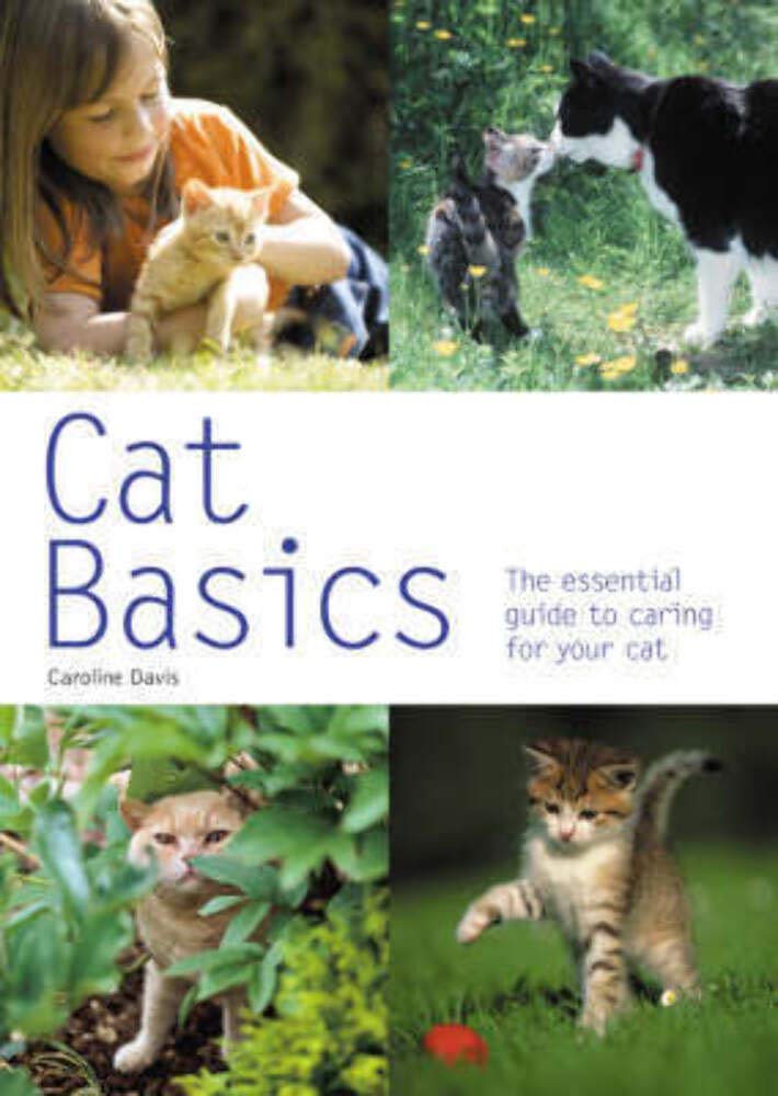 Cat Basics: The Essential Guide to Caring for Your Cat,Used