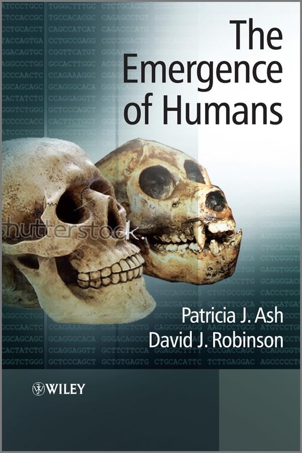 The Emergence Of Humans: An Exploration Of The Evolutionary Timeline