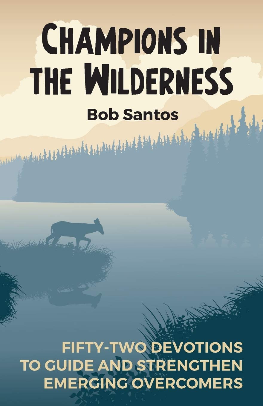 Champions in the Wilderness: FiftyTwo Devotions to Guide and Strengthen Emerging Overcomers,Used
