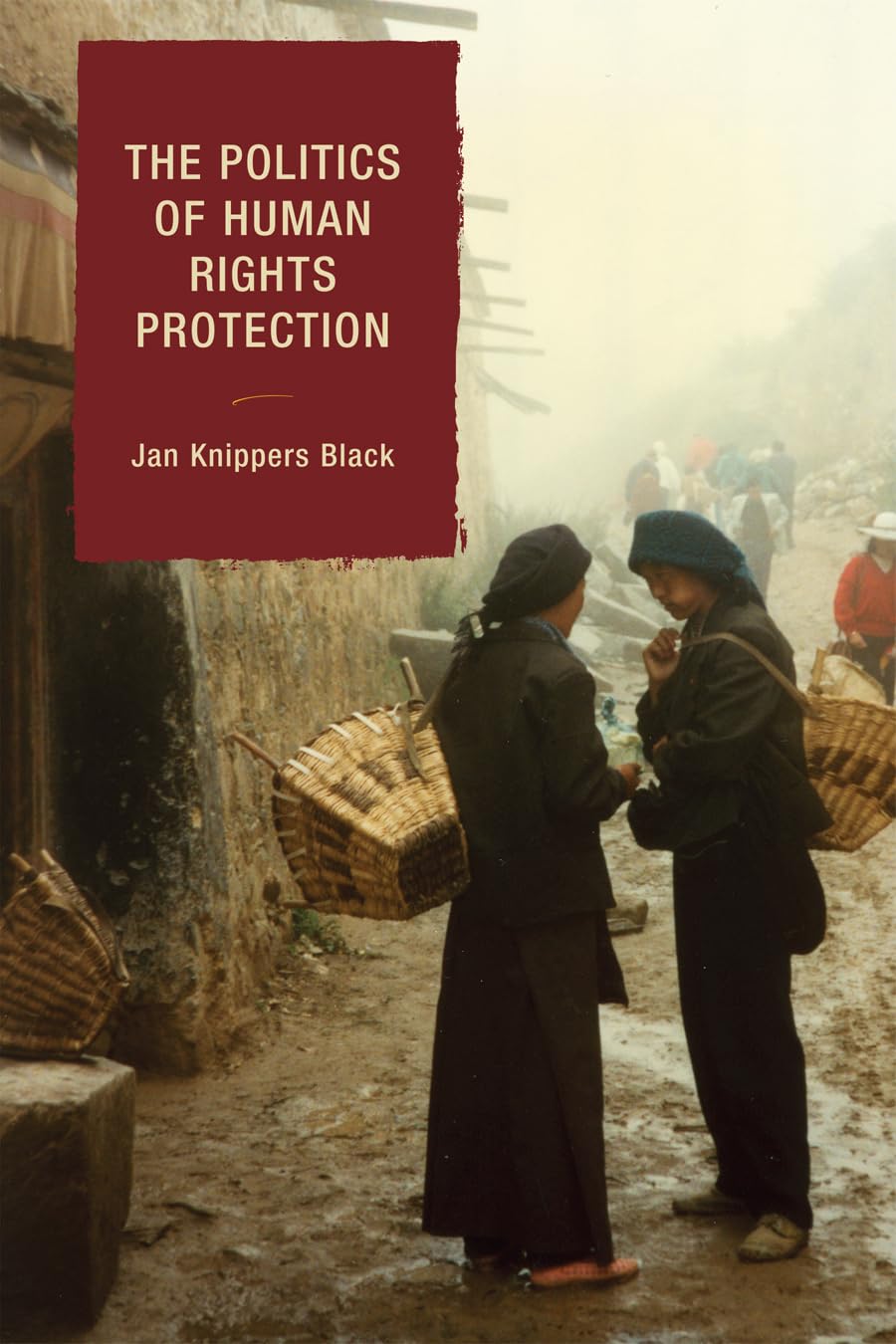 The Politics of Human Rights Protection,New