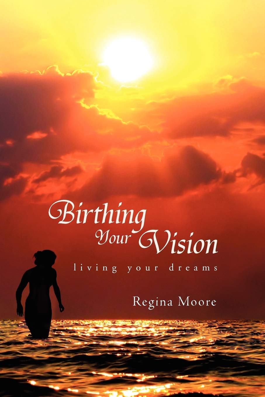 Birthing Your Vision,Used