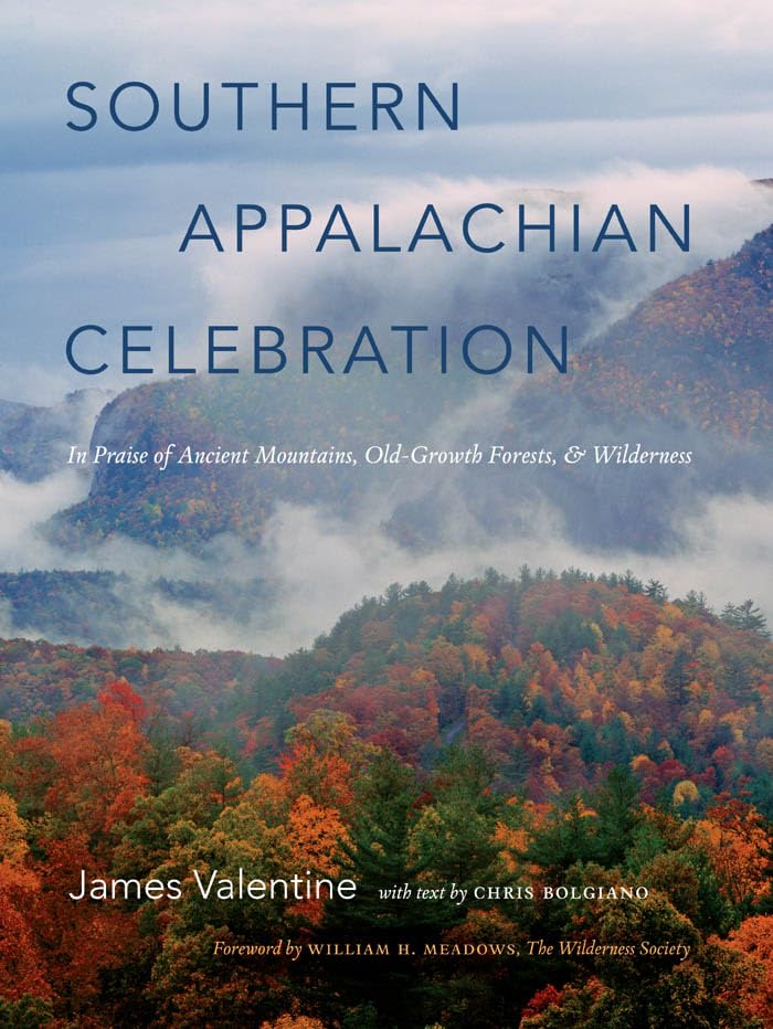 Southern Appalachian Celebration: In Praise Of Ancient Mountains, Oldgrowth Forests, And Wilderness,New