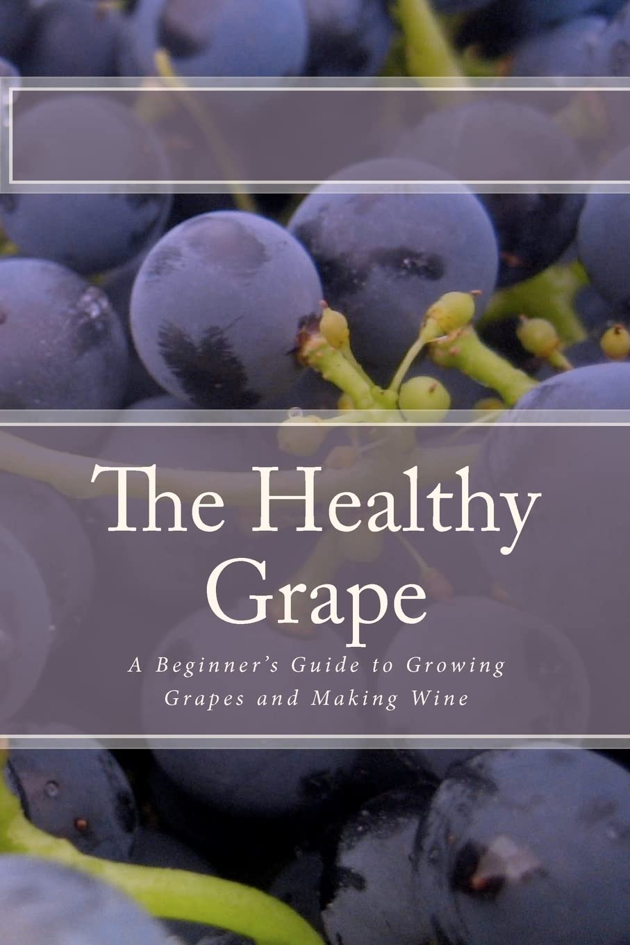 The Healthy Grape: A Beginner's Guide to Growing Grapes and Making Wine,Used