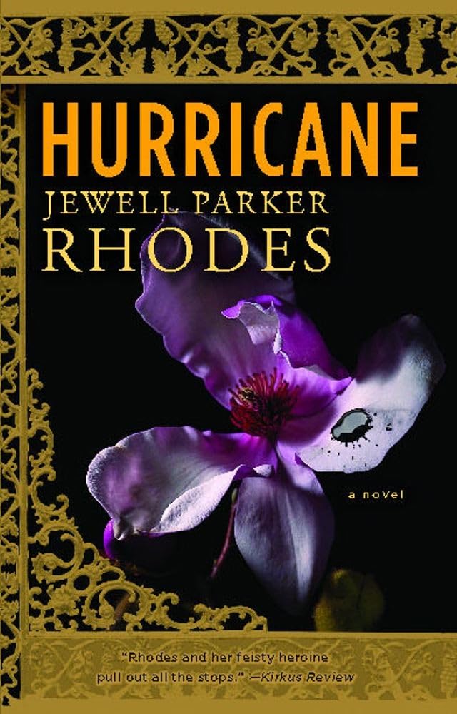 Hurricane: A Novel,Used