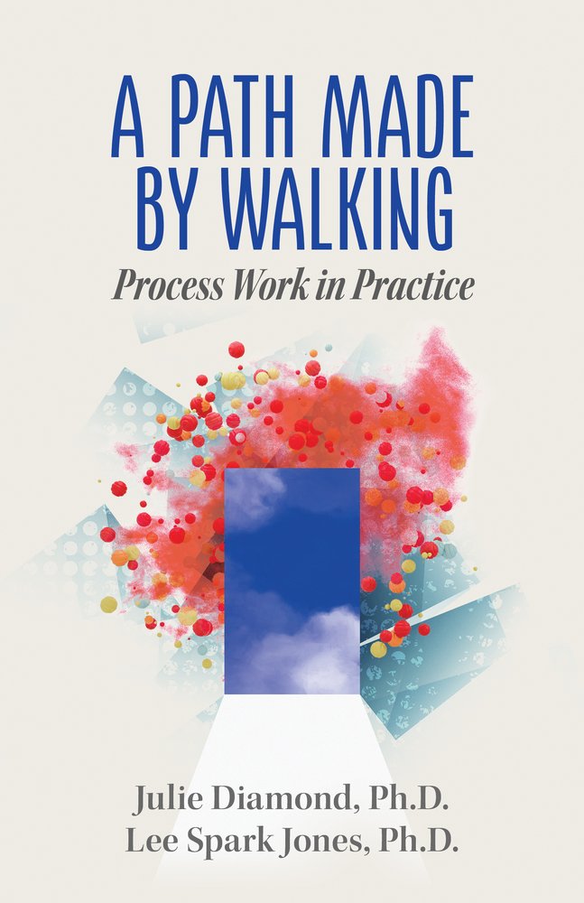 A Path Made by Walking: Process Work in Practice,Used