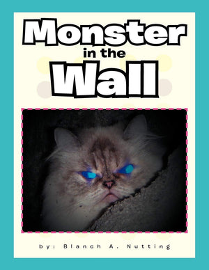 Monster In The Wall,Used