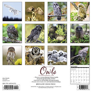 Owls 2018 Calendar,Used