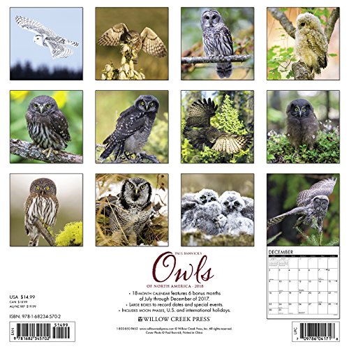 Owls 2018 Calendar,Used