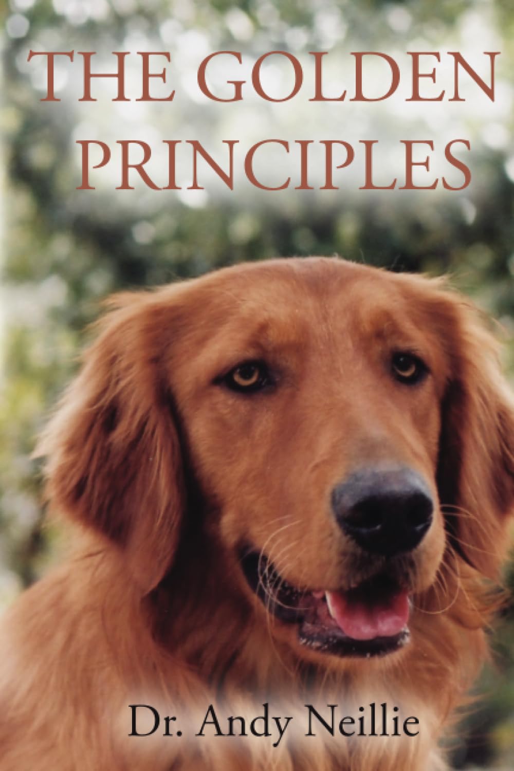 The Golden Principles: Life and Leadership Lessons from a Rescued Dog,Used