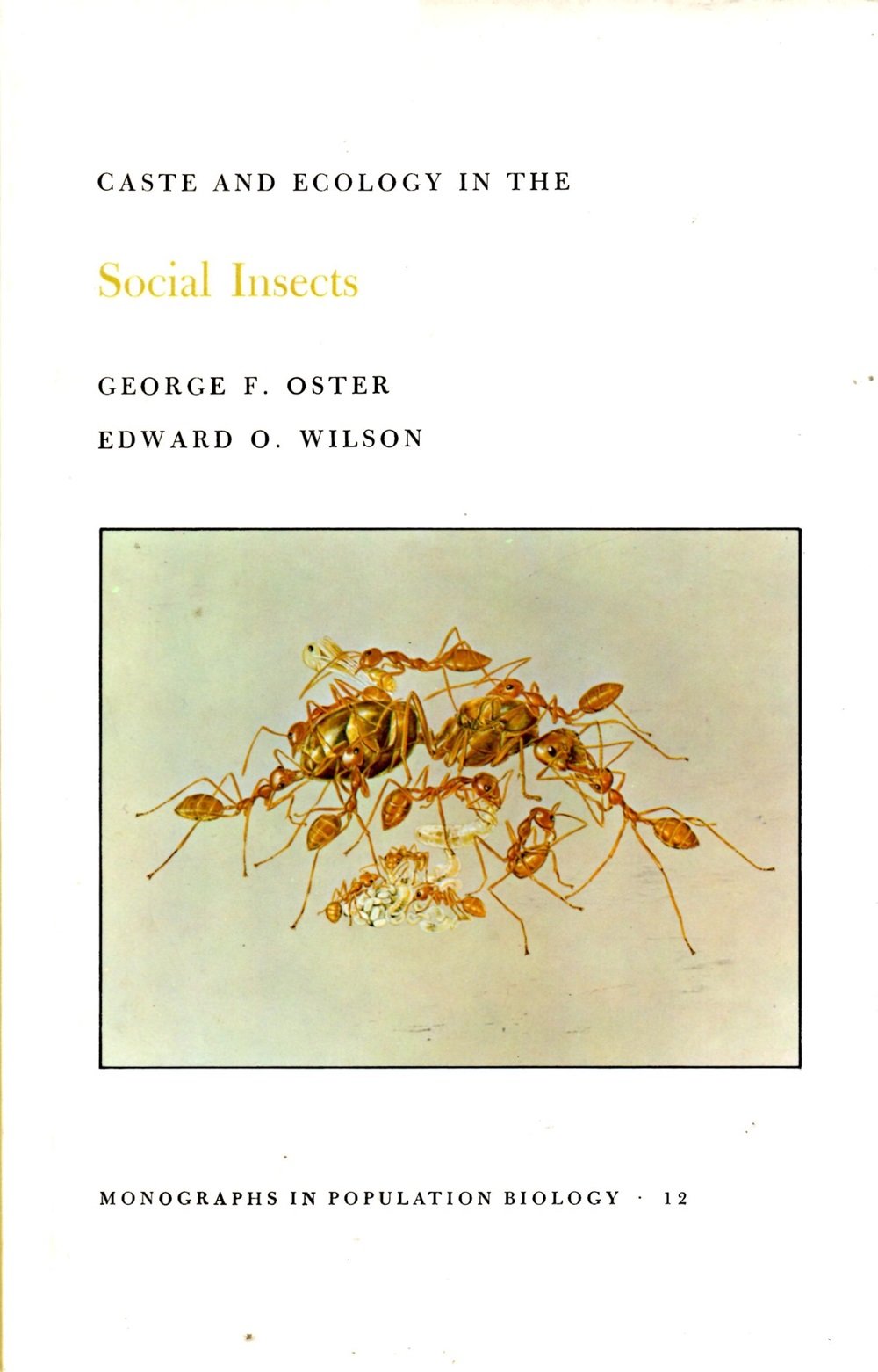 Caste And Ecology In The Social Insects. (Mpb12), Volume 12 (Monographs In Population Biology, 12),New