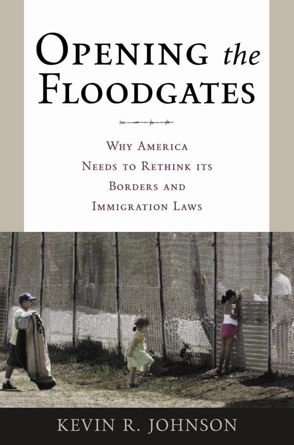 Opening the Floodgates: Why America Needs to Rethink its Borders and Immigration Laws (Critical America, 80),New
