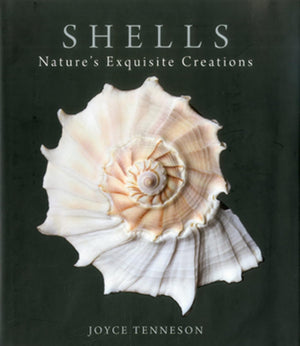 Shells: Nature's Exquisite Creations,Used