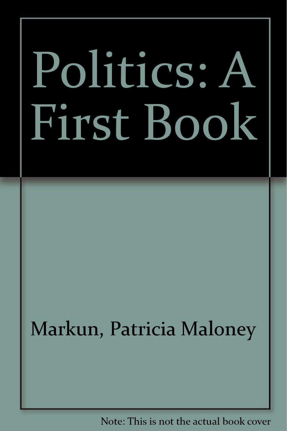 Politics: A First Book,Used