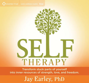 SelfTherapy: Transform Stuck Parts of Yourself into Inner Resources of Strength, Love, and Freedom,Used