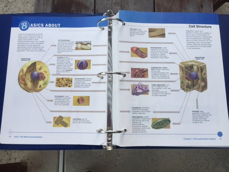 Biological Perspectives,New