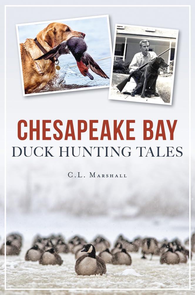 Chesapeake Bay Duck Hunting Tales (Sports),Used
