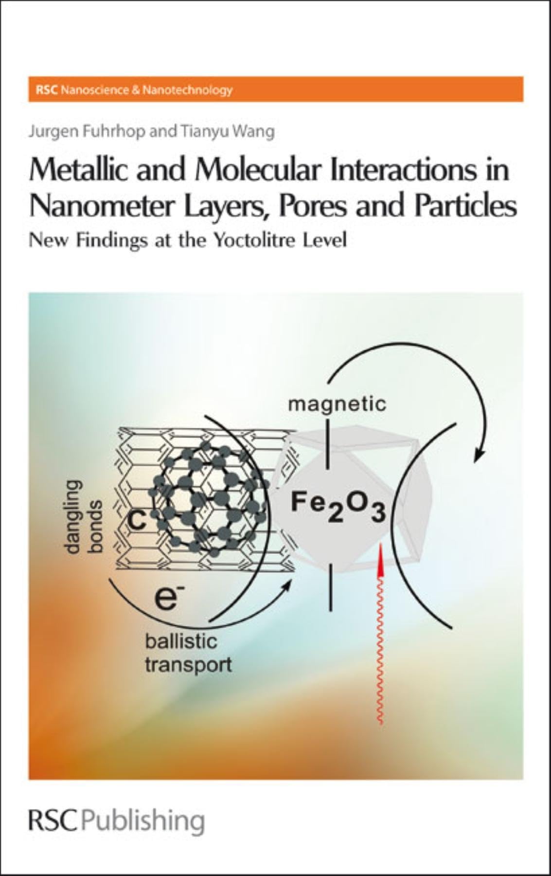 Metallic And Molecular Interactions In Nanometer Layers, Pores And Particles: New Findings At The Yoctolitre Level (Nanoscience,,New