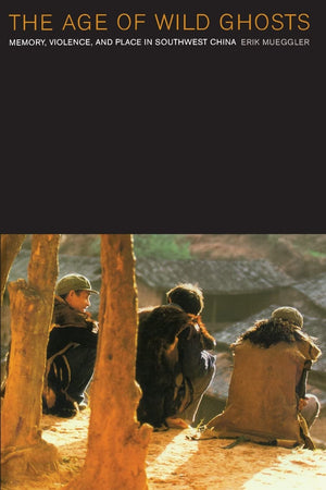 The Age Of Wild Ghosts: Memory, Violence, And Place In Southwest China,New