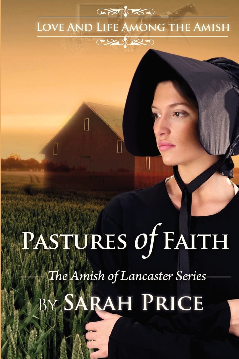 Pastures of Faith: The Amish of Lancaster,Used