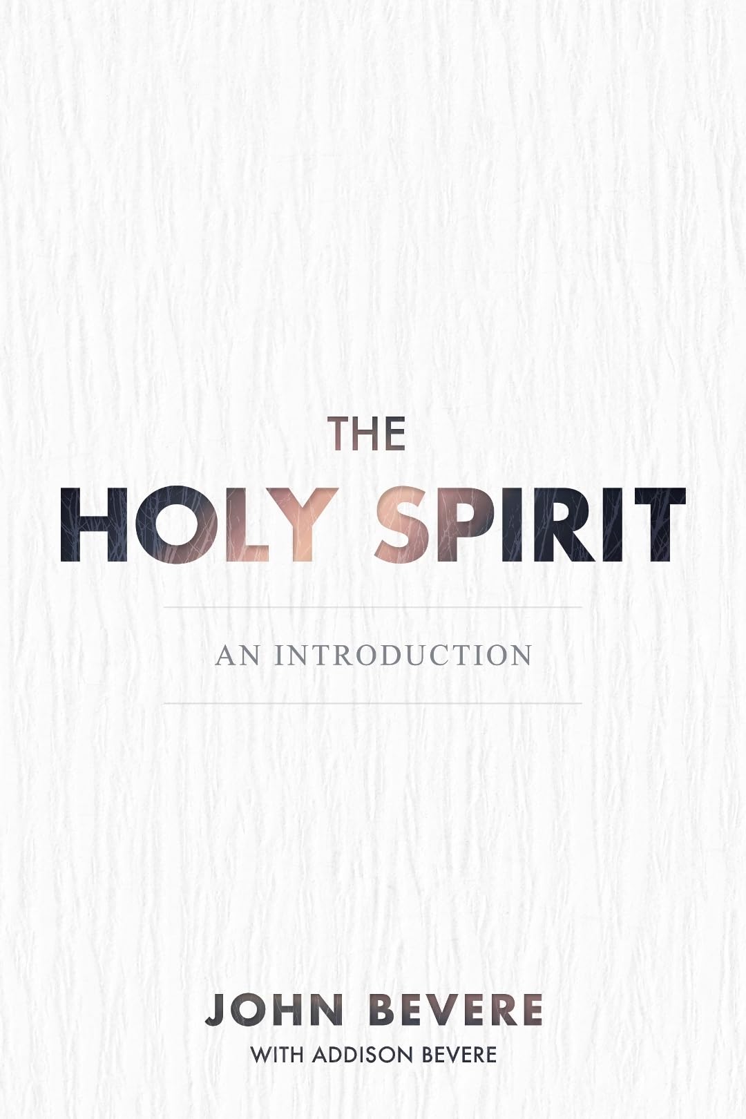 The Holy Spirit: An Introduction,Used
