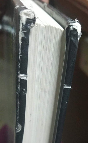 Signage And Wayfinding Design: A Complete Guide To Creating Environmental Graphic Design Systems-used