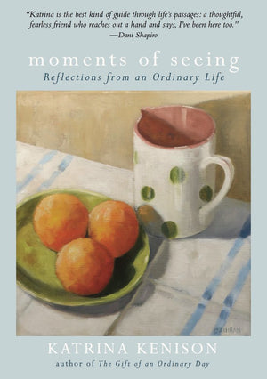 Moments of Seeing  Reflections from an Ordinary Life,Used