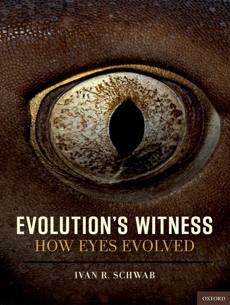 Evolution'S Witness: How Eyes Evolved,Used