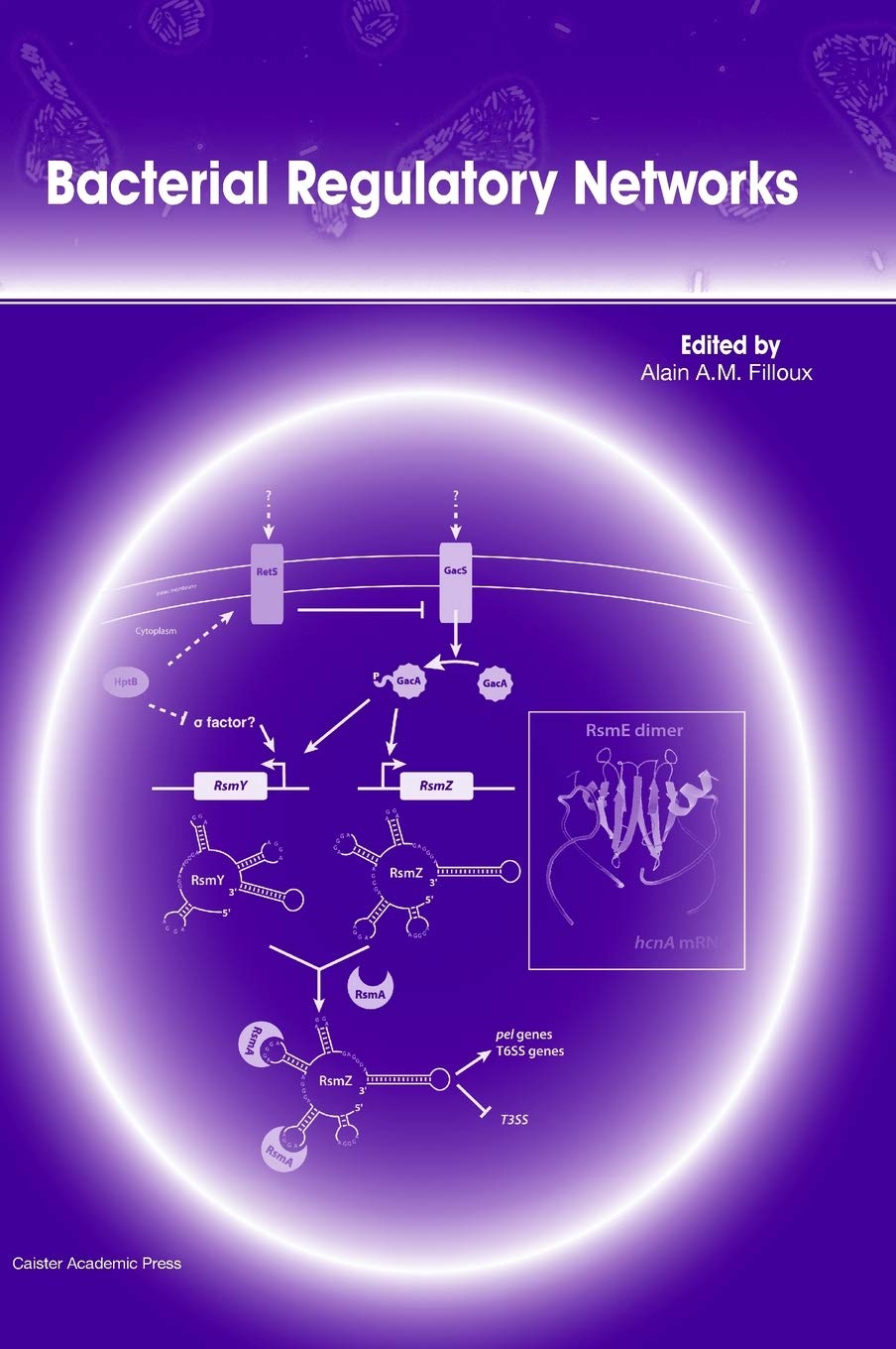 Bacterial Regulatory Networks,Used