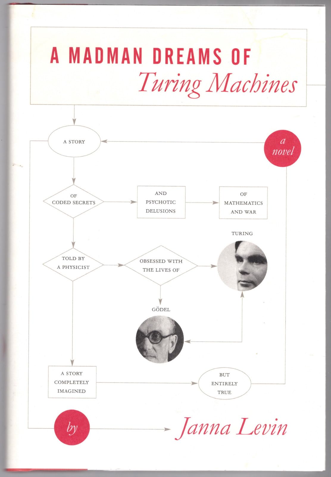 A Madman Dreams Of Turing Machines