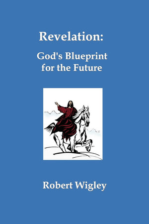 Revelation: God's Blueprint for the Future,Used