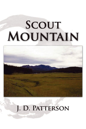 Scout Mountain,Used