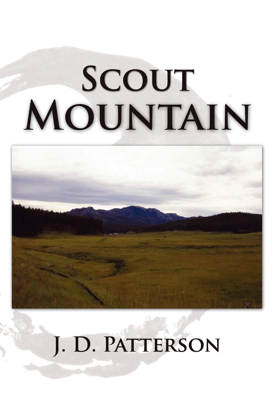 Scout Mountain,Used