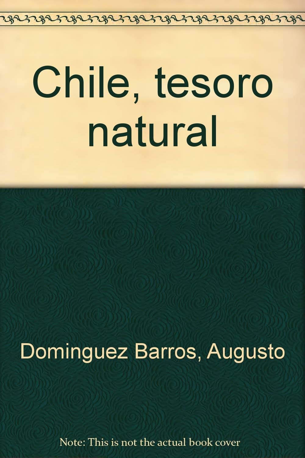 Chile, tesoro natural (Spanish Edition),Used
