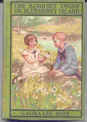 The Bobbsey Twins On Blueberry Island (Bobbsey Twins, No. 10),Used
