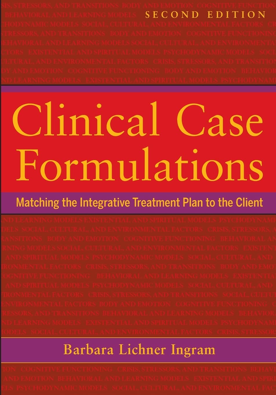 Clinical Case Formulations: Matching The Integrative Treatment Plan To The Client