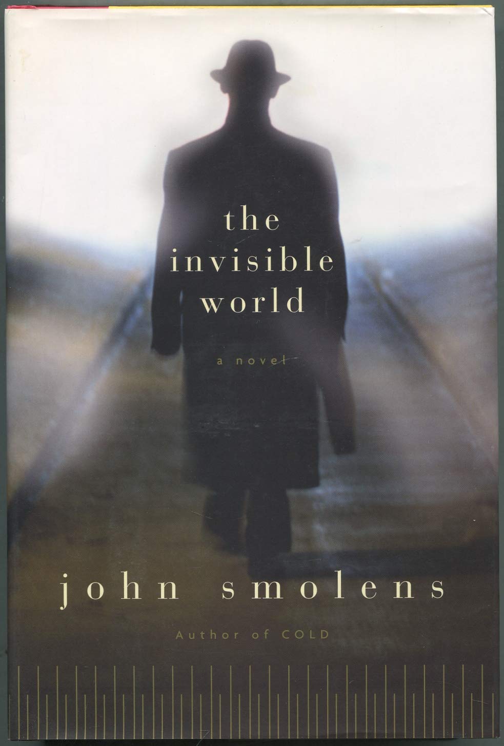 The Invisible World: A Novel,Used