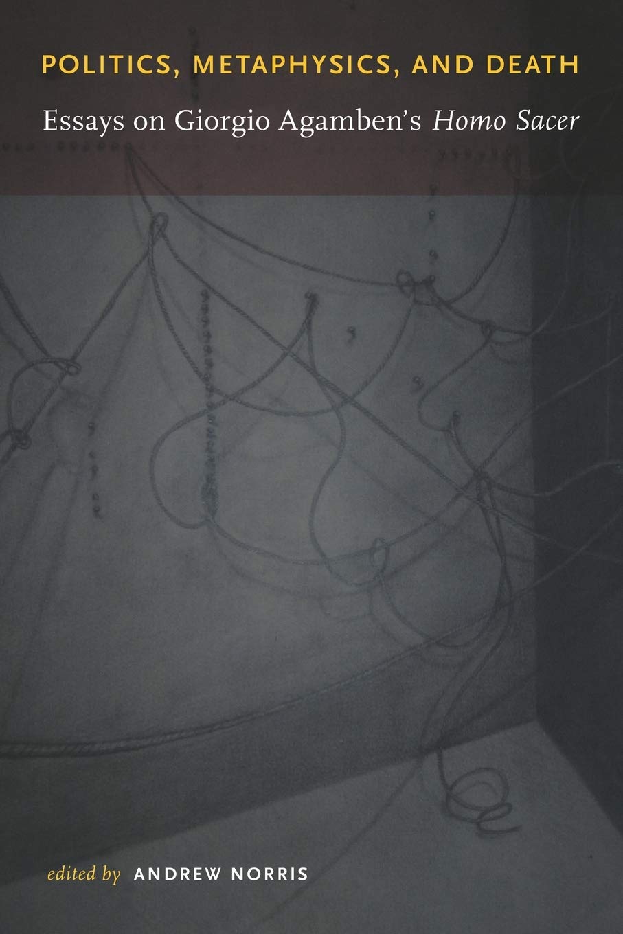 Politics, Metaphysics, and Death: Essays on Giorgio Agamben s Homo Sacer