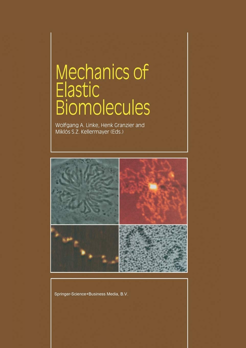 Mechanics of Elastic Biomolecules,Used