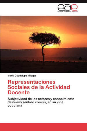 Representaciones Sociales de la Actividad Docente: Subjetividad de los actores y conocimiento de nuevo sentido comn, en su vid,Used