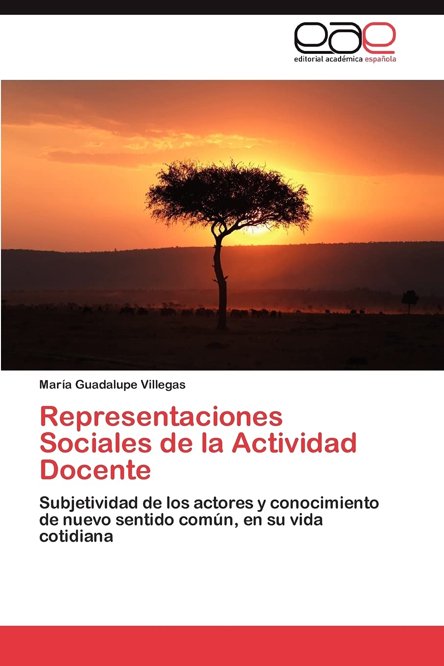 Representaciones Sociales de la Actividad Docente: Subjetividad de los actores y conocimiento de nuevo sentido comn, en su vid,Used