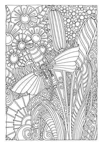 Creative Haven Entangled Dragonflies Coloring Book (Adult Coloring Books: Insects),Used